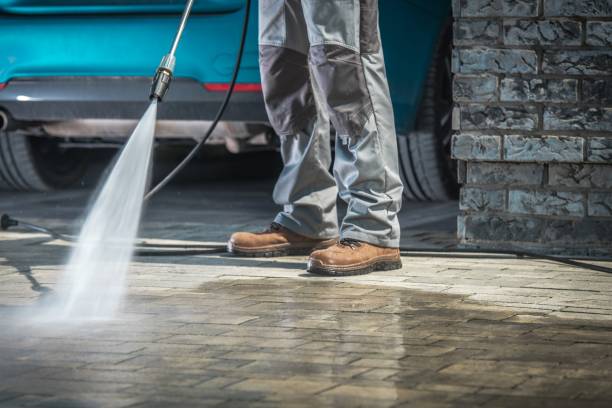 Best Pre-Holiday Cleaning  in Monroe, MI