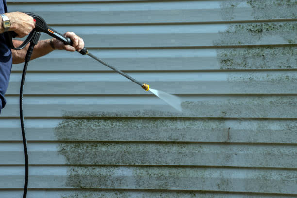 Best House Exterior Washing  in Monroe, MI