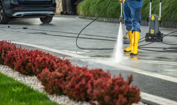 Professional  Pressure Washing Services in Monroe, MI